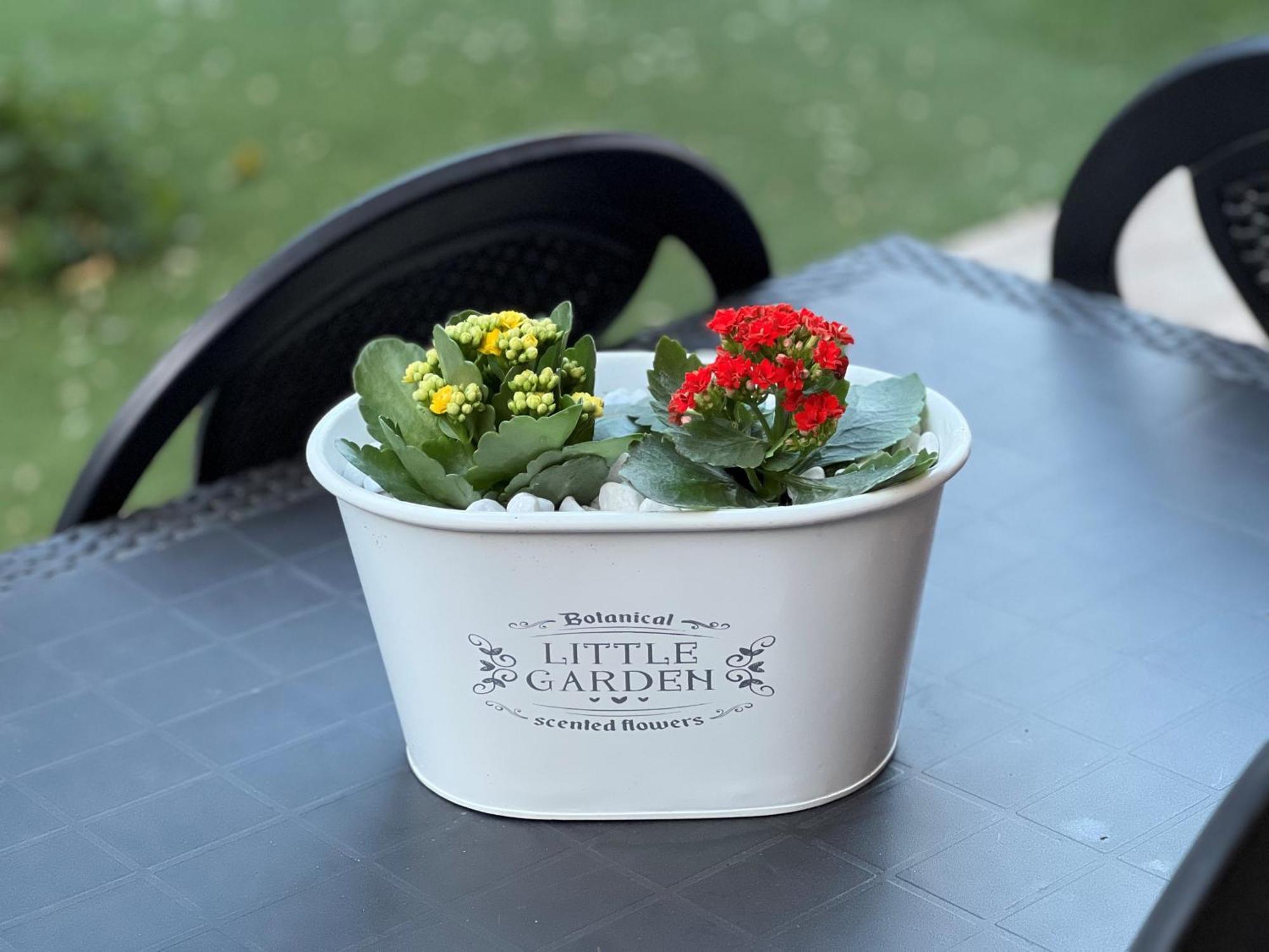 Casa Paestum. Your Wonderful Garden In Rom Exterior foto